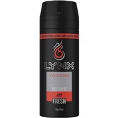 LYNX DEODORANT VOODOO 150ML X6